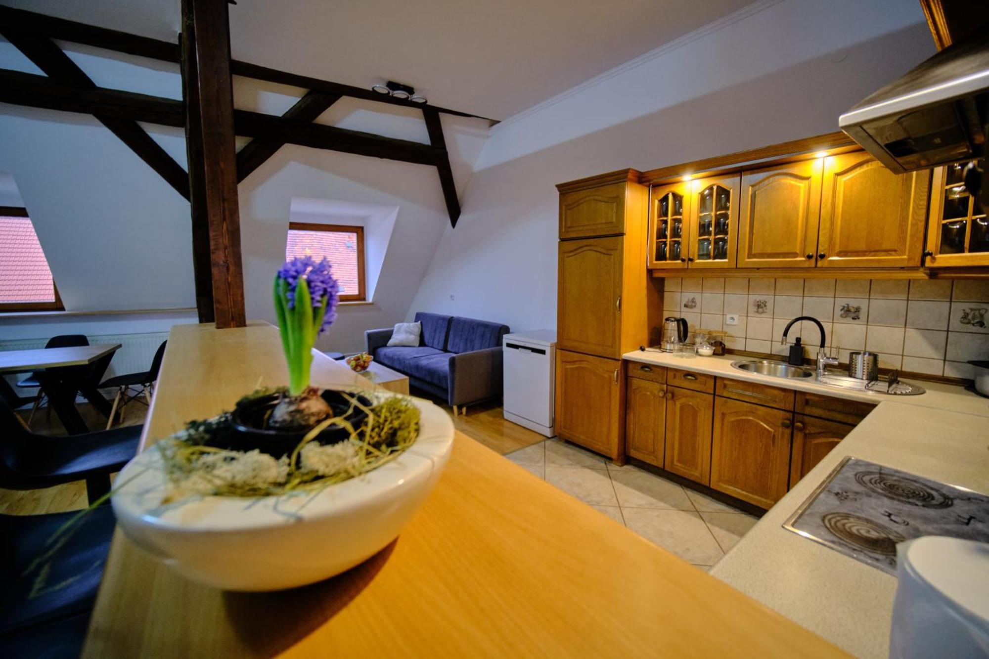 Urania Apartamenty Kowary Pokój zdjęcie